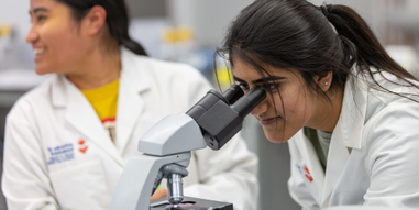 A biomedical science student using a microscope in the lab