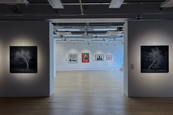 Artwork showing metallic like trees displayed in gallery space