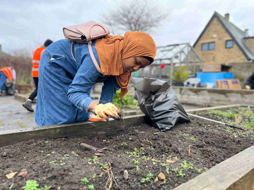 A student weeding