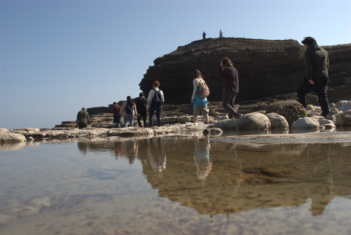 Students walking along the coast