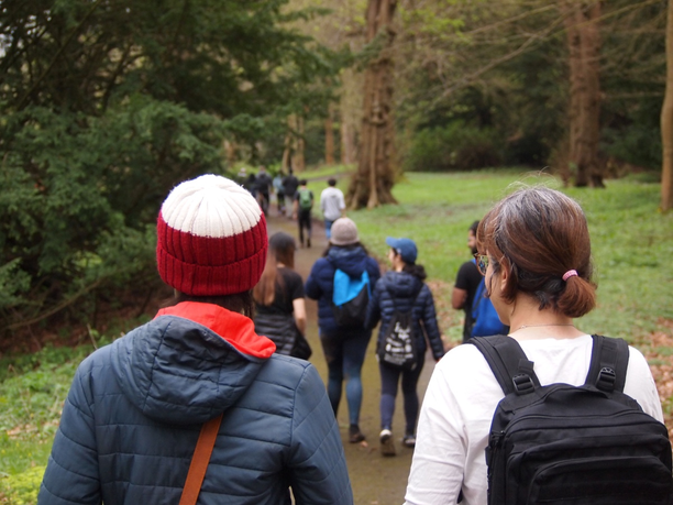Group of students walking around trees