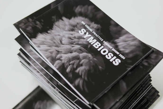 Booklet for MA Degree shows