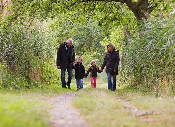 Two parents taking two children for a walk in the forest