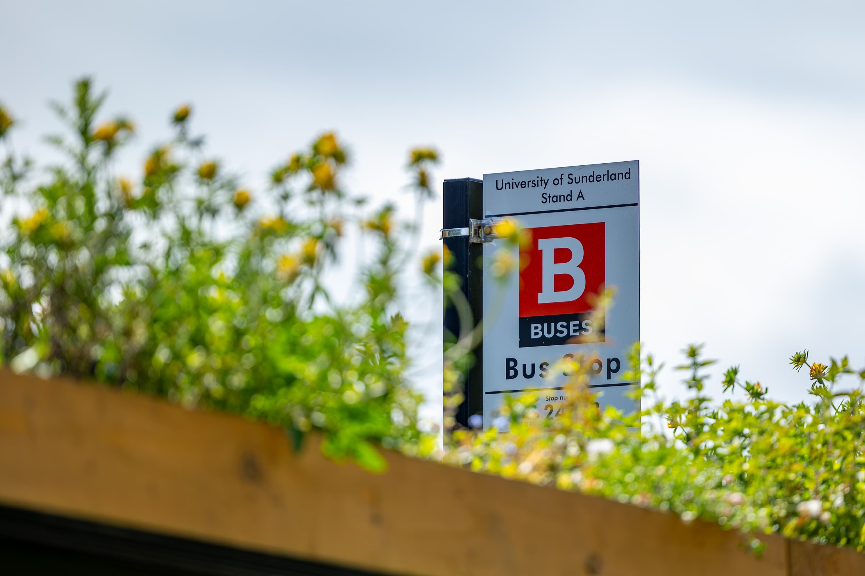 The top of the campus bus station with the sign on and lots of wild flowers and plants growing on top