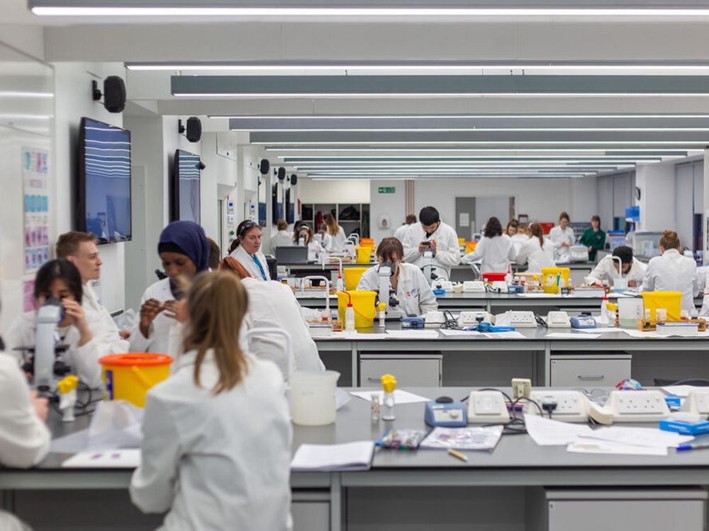 Students busy in a laboratory