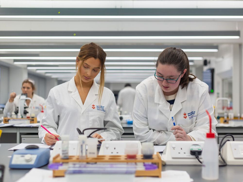 Two Biomedical Science students working side by side in the lab