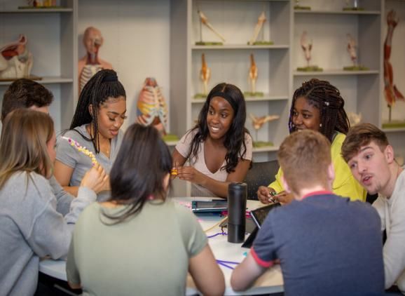 A group of students working around a table together in a medicine problem based learning session