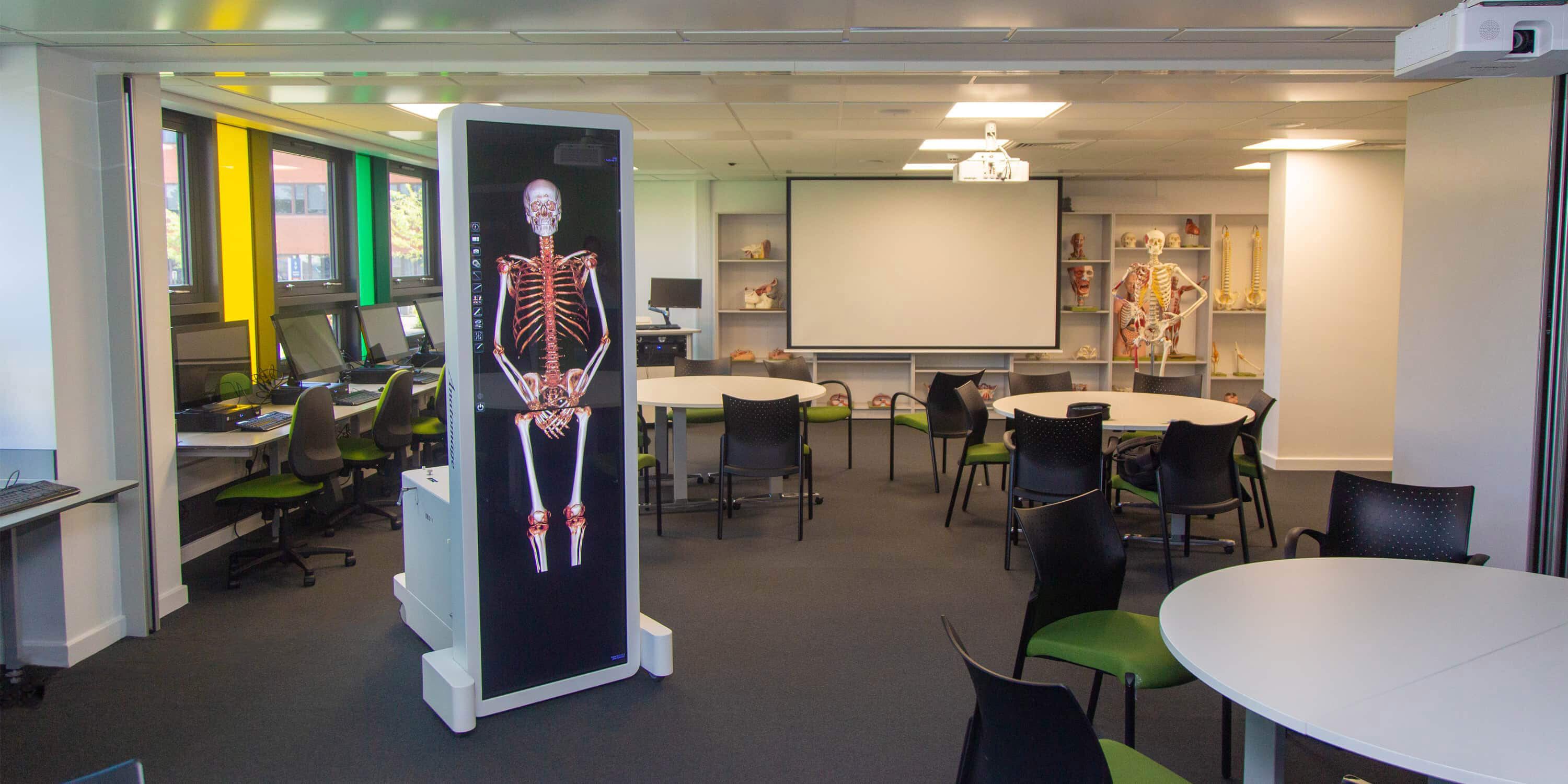 A wide shot of a Medical School Classroom featuring a display board with an anatomical model